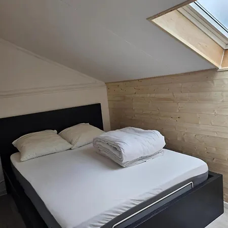 Appartement Duplex Face Au De Maubuisson *