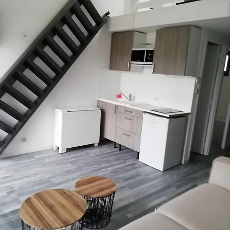 Appartement Duplex Face Au De Maubuisson